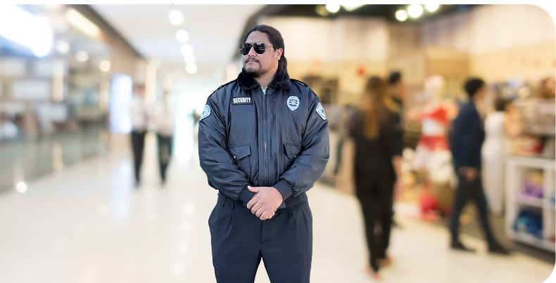 Plaza Protection Security Guard Providing Industry-Specific Protection