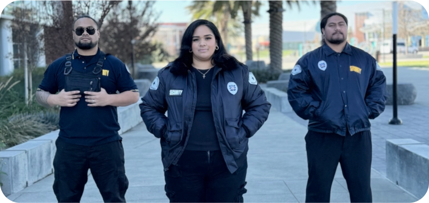Plaza Protection Security Guard Providing Industry-Specific Protection